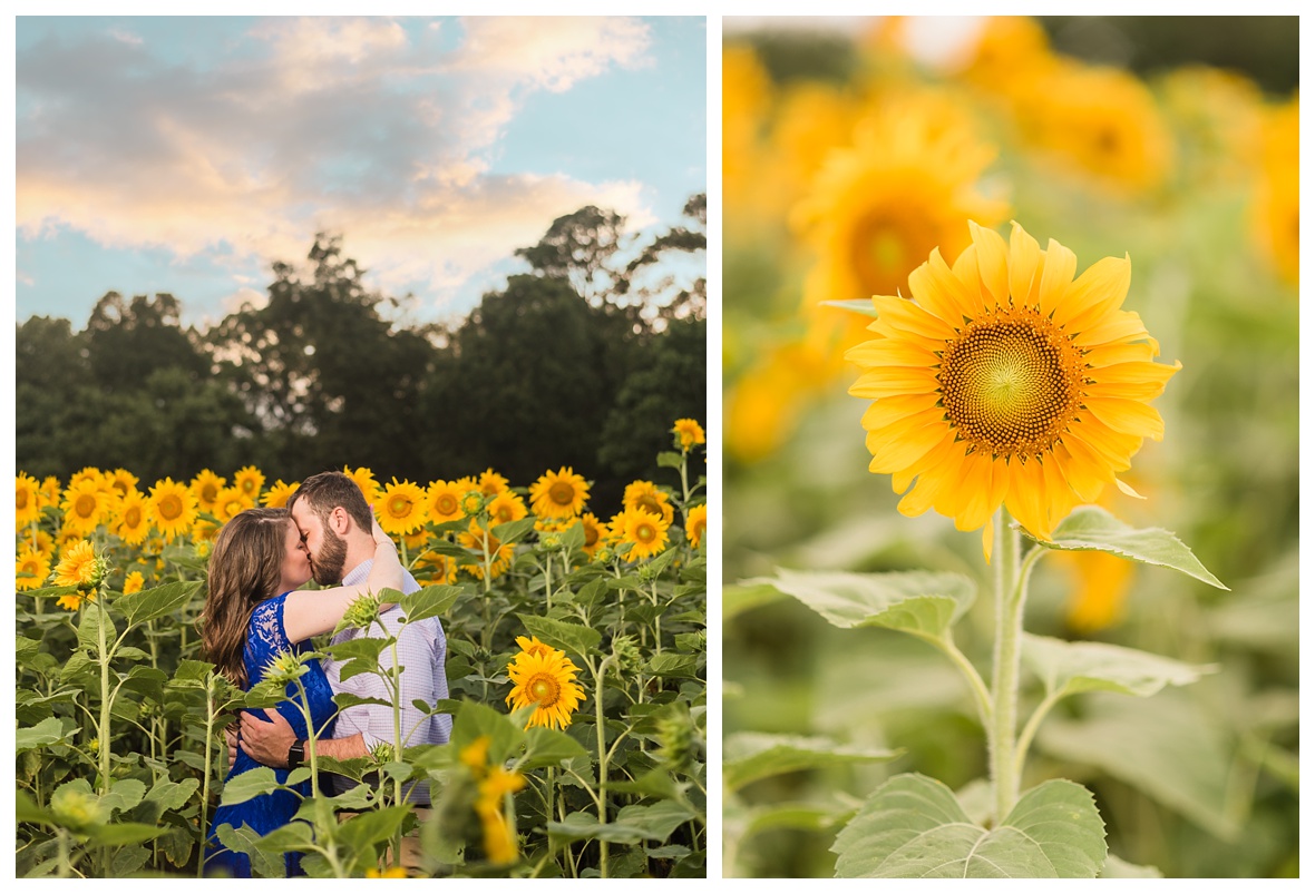 Chattanooga Engagement Photos_0744