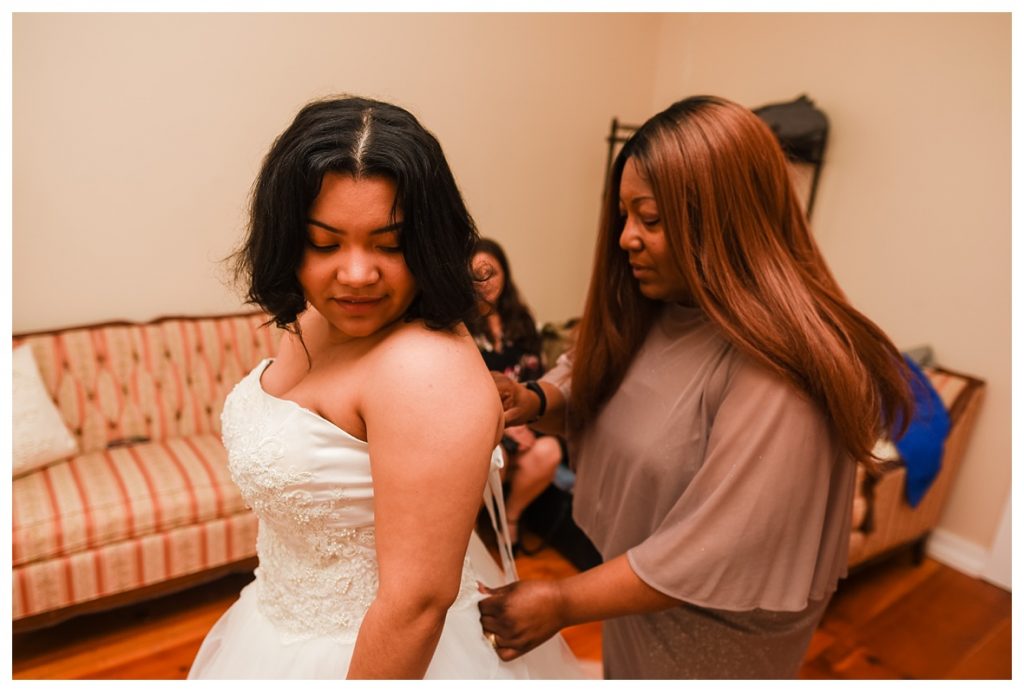 Nothing But Bundt Cakes Mill Creek designeralbumpro