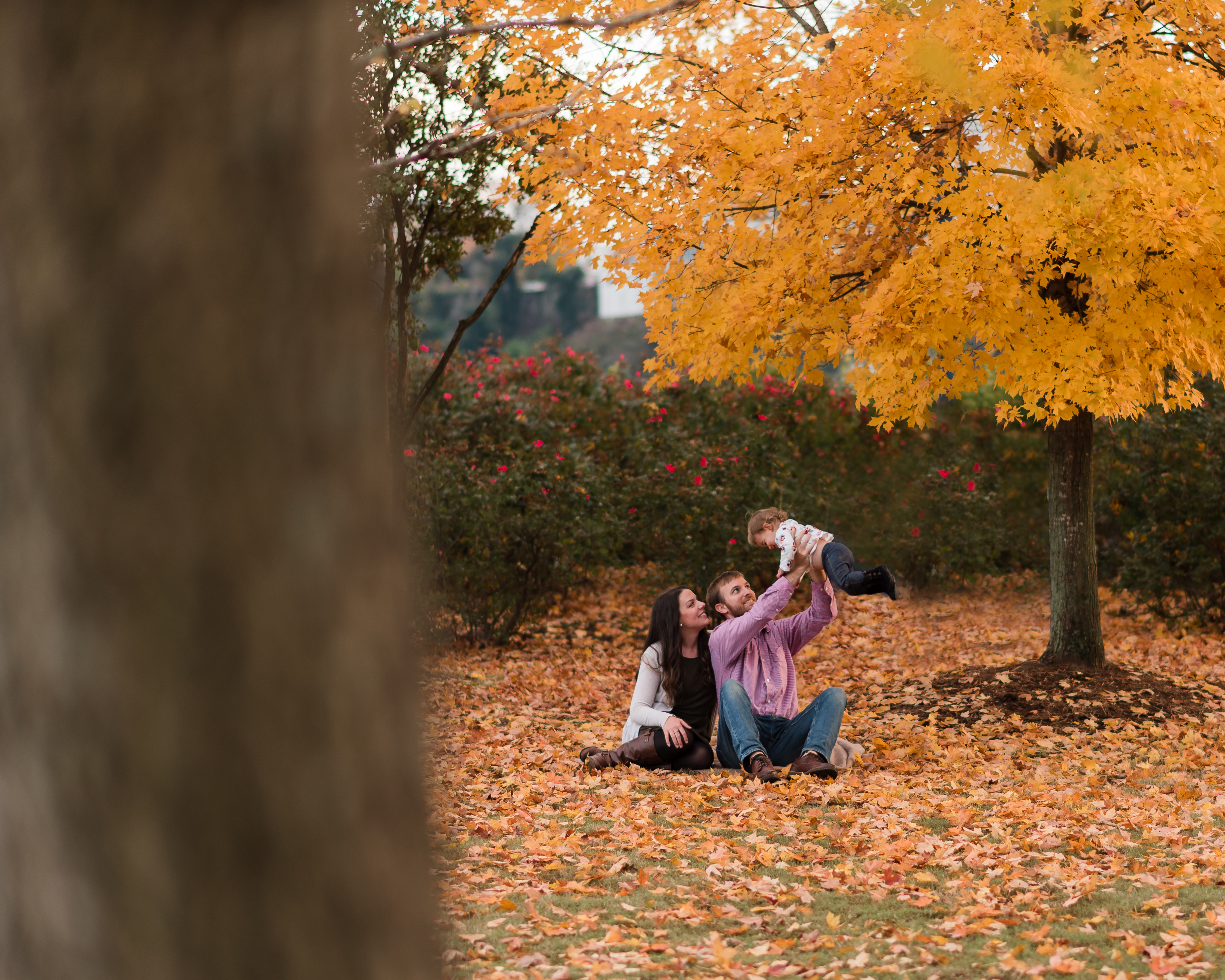 Fall Family Photos in Coolidge Park Chattanooga