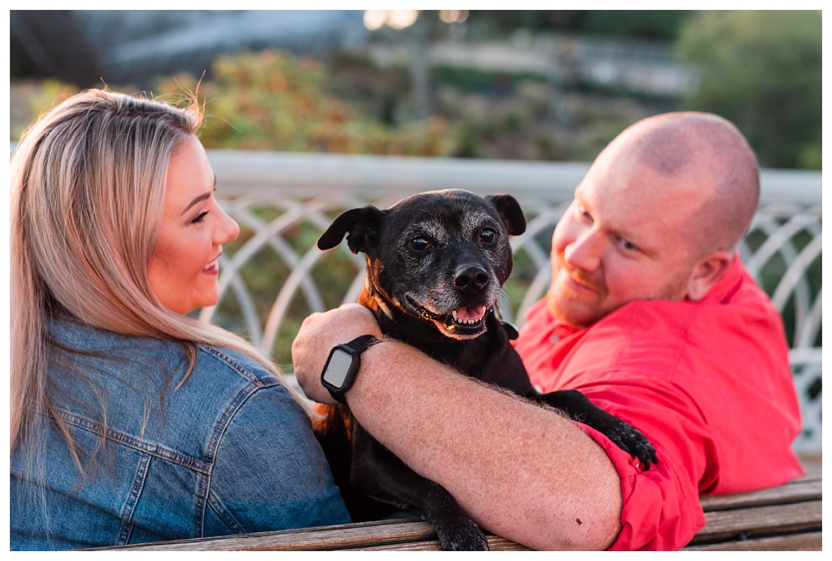 dog in engagement photo at Coolidge Park