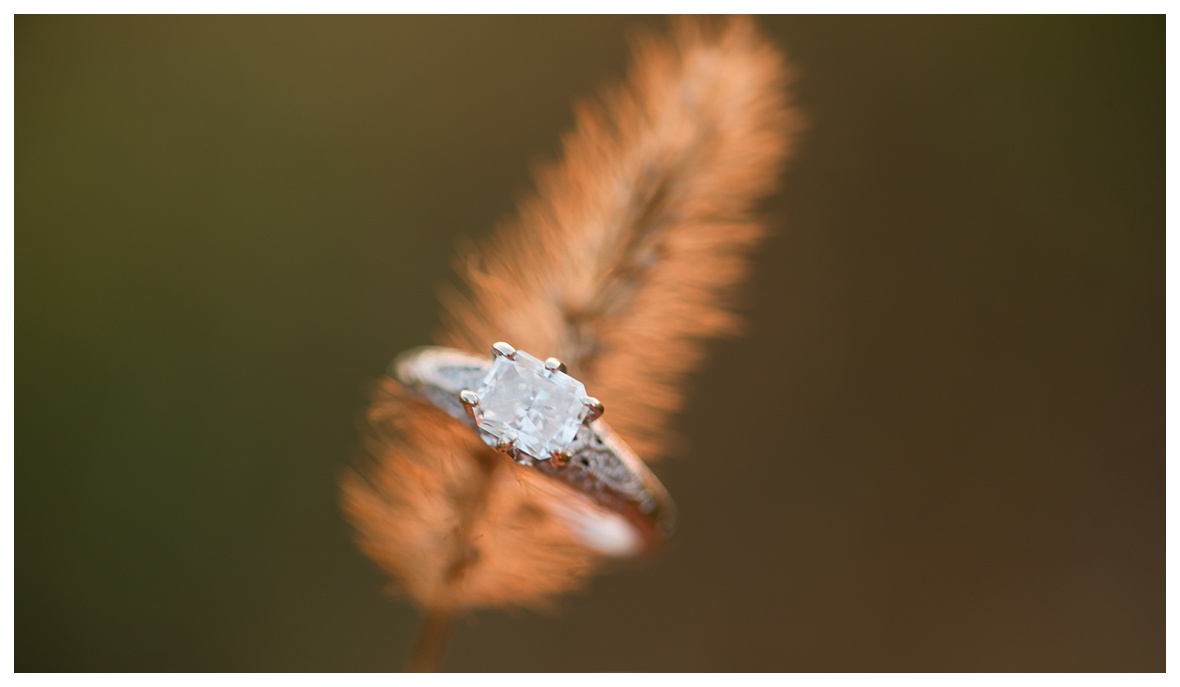 Dreamy Field Engagement Photos and engagement ring