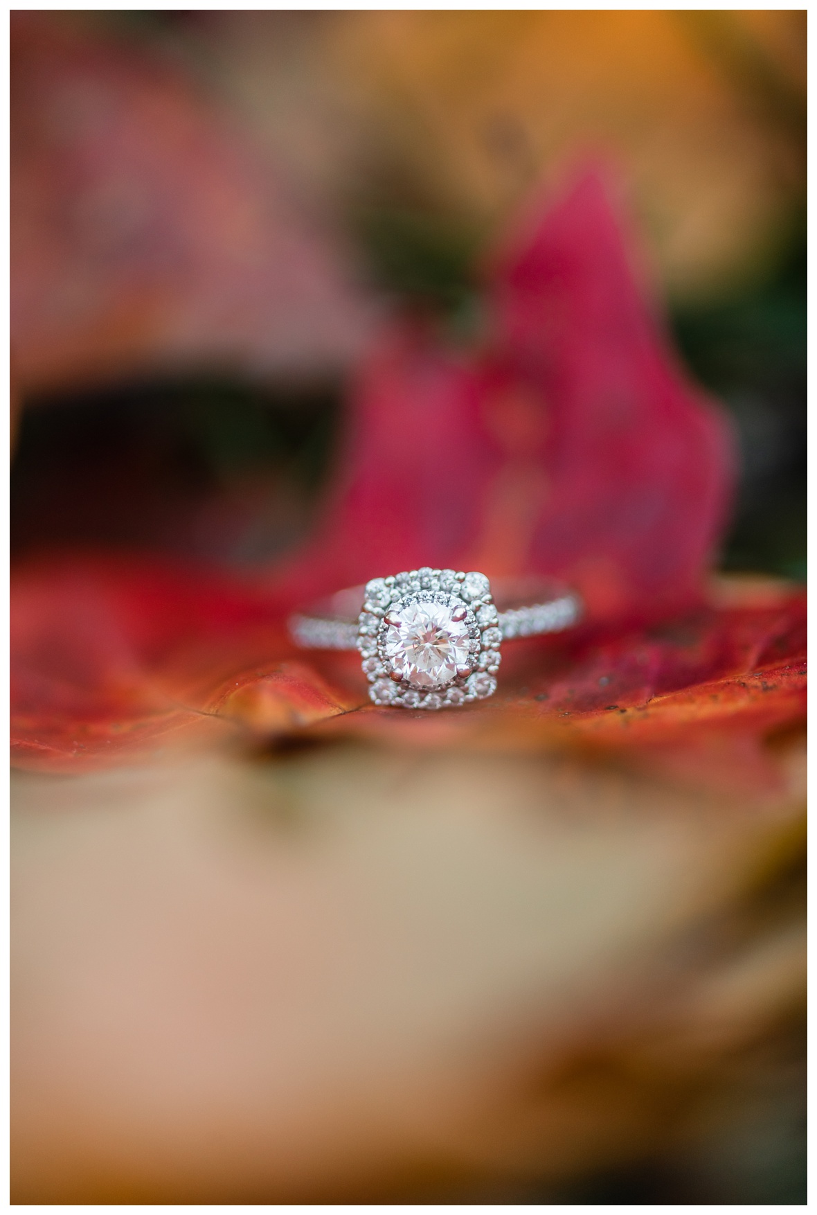 round cut engagement ring with square halo