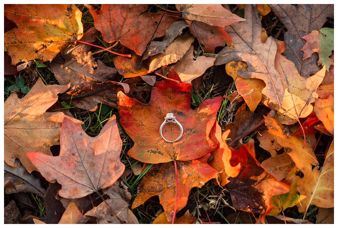 engagement ring in the fall leaves