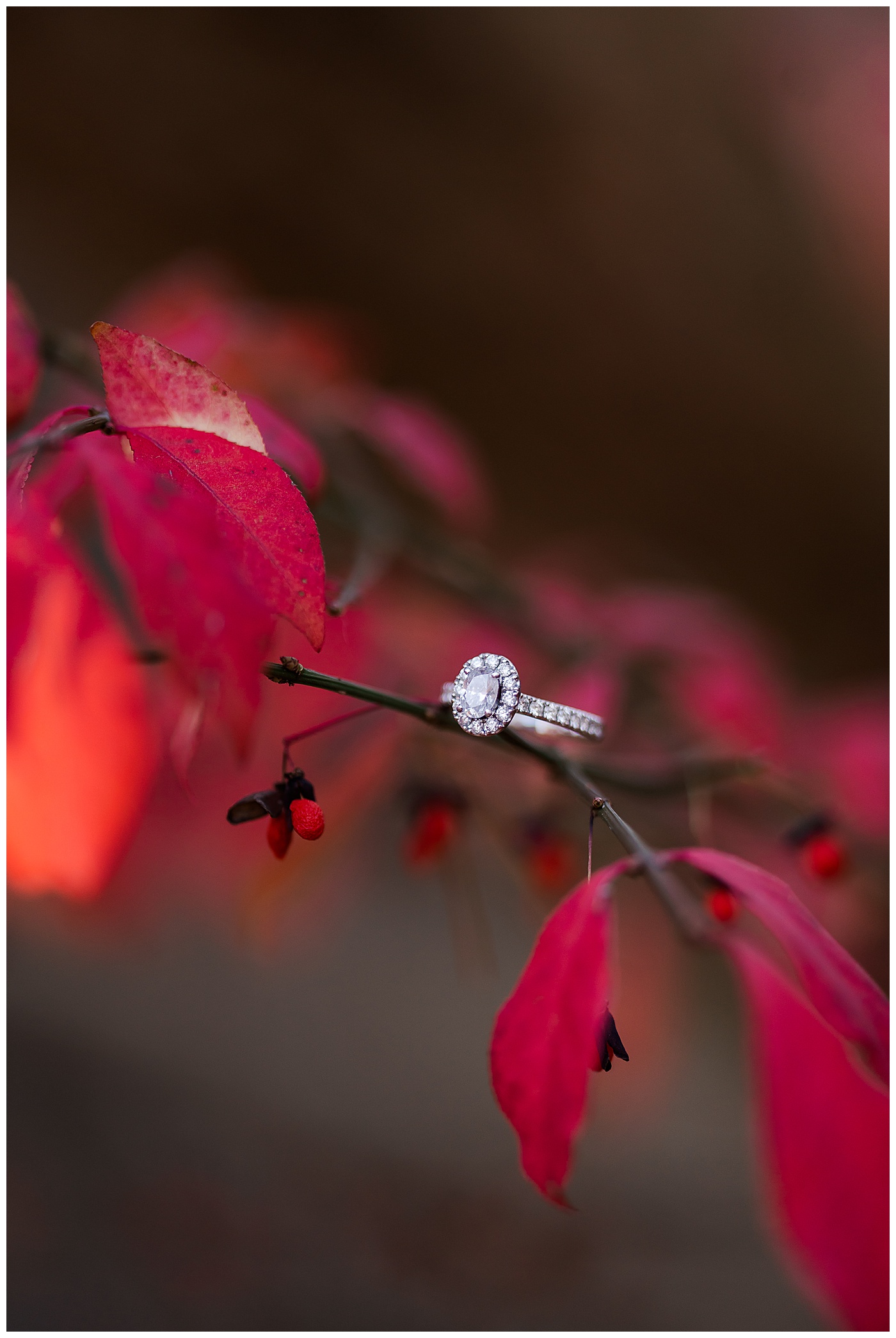 Signal Mountain Engagement Couple Ring Detail 