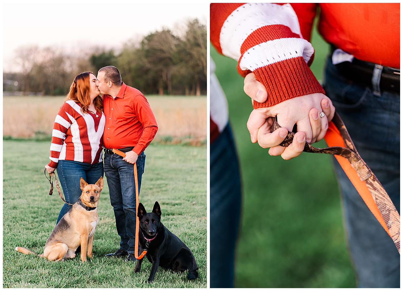 Engaged Couple Kissing and Their Dogs