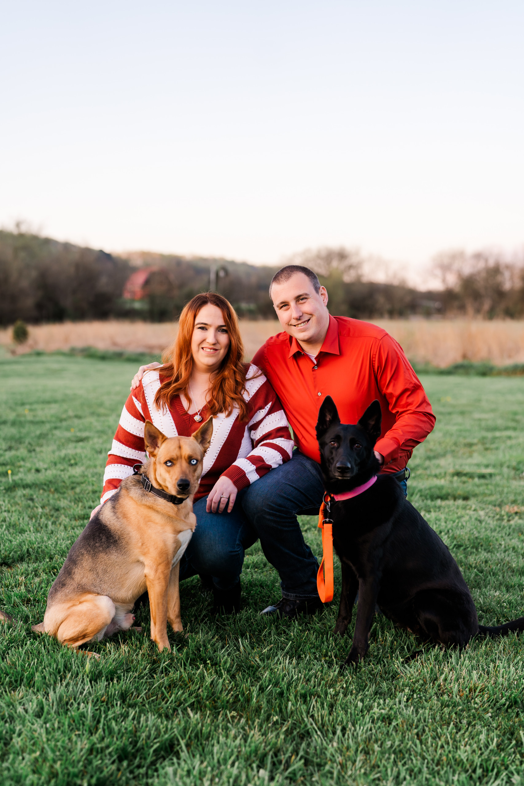 Couple Engagement Pictures with Dogs