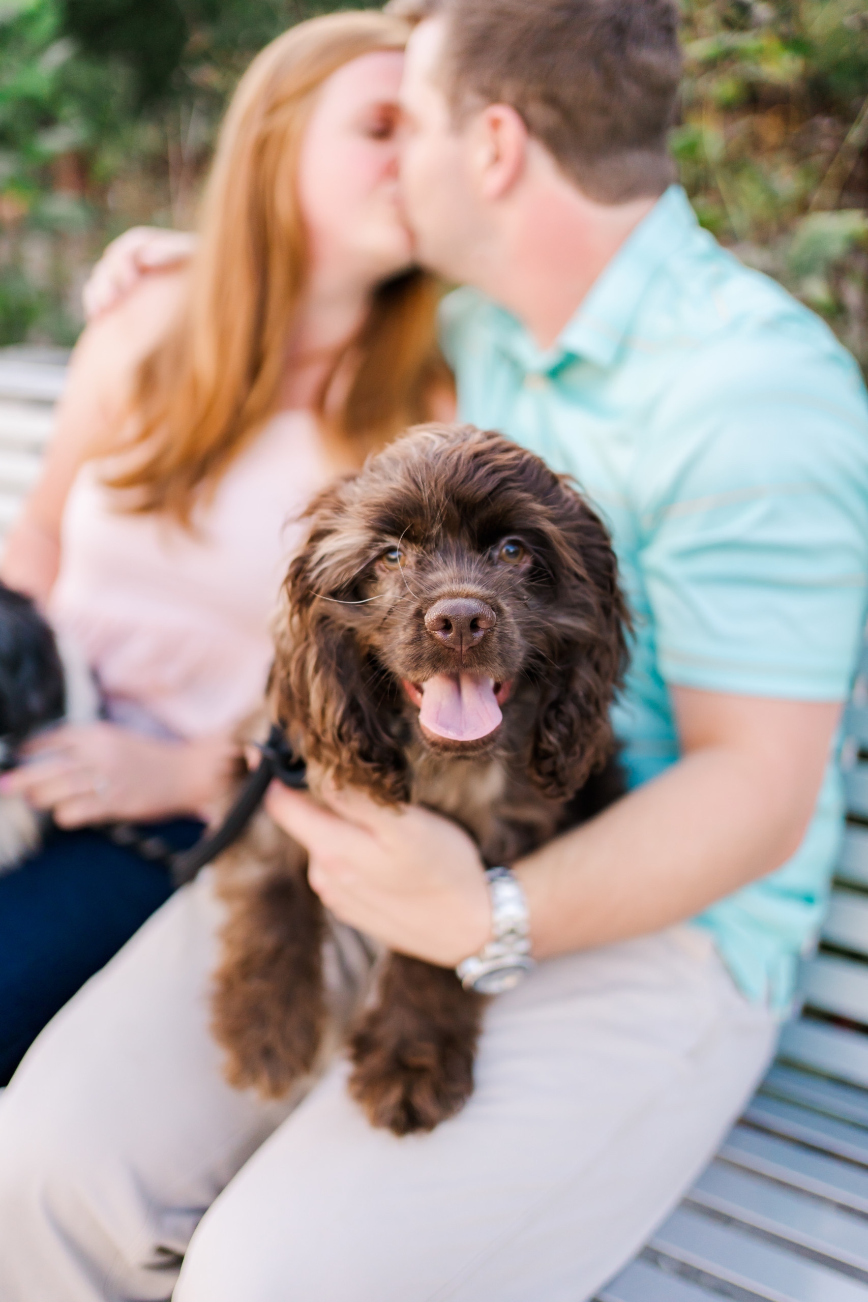Engagement Pictures Puppy