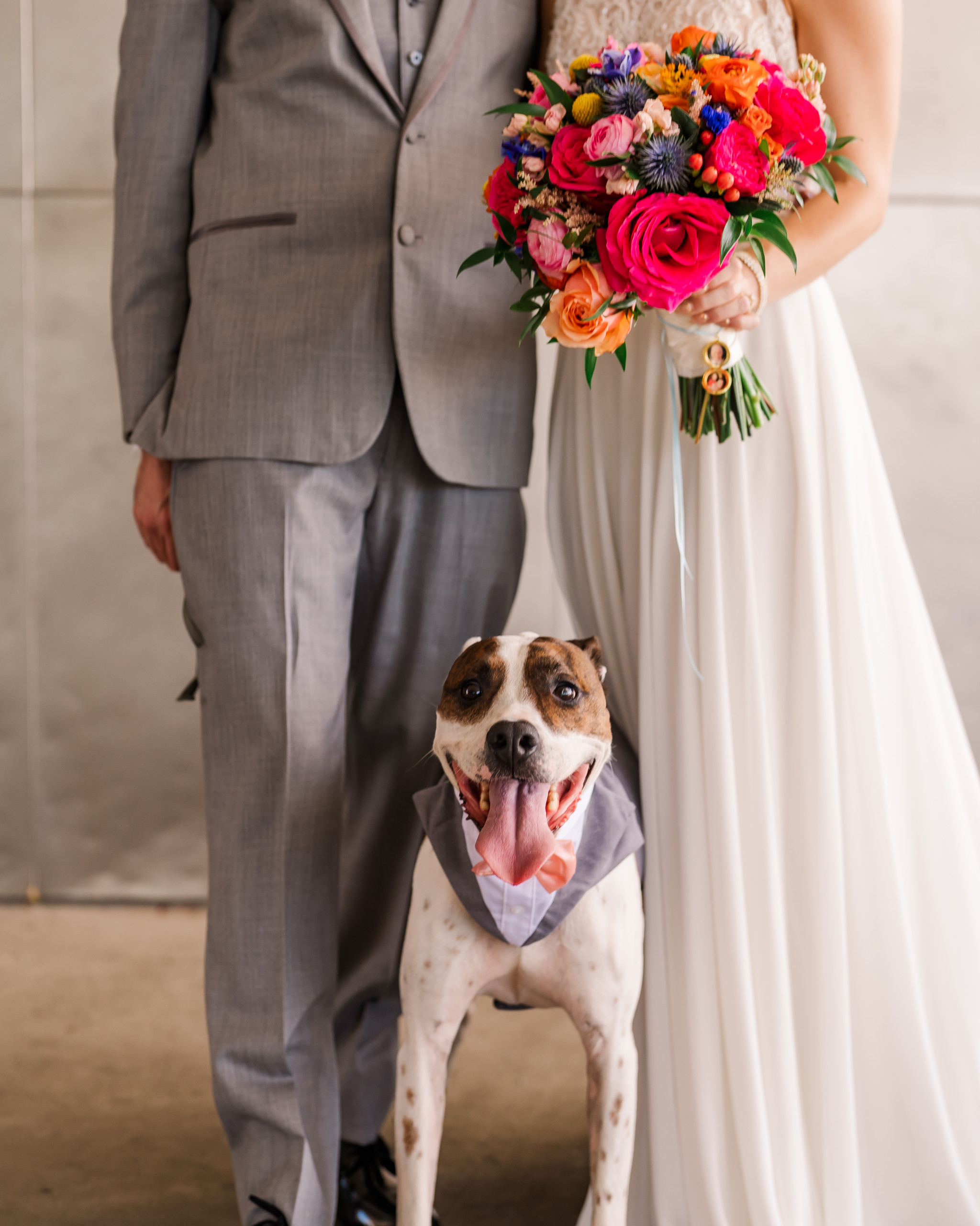 Wedding Day and the Dog