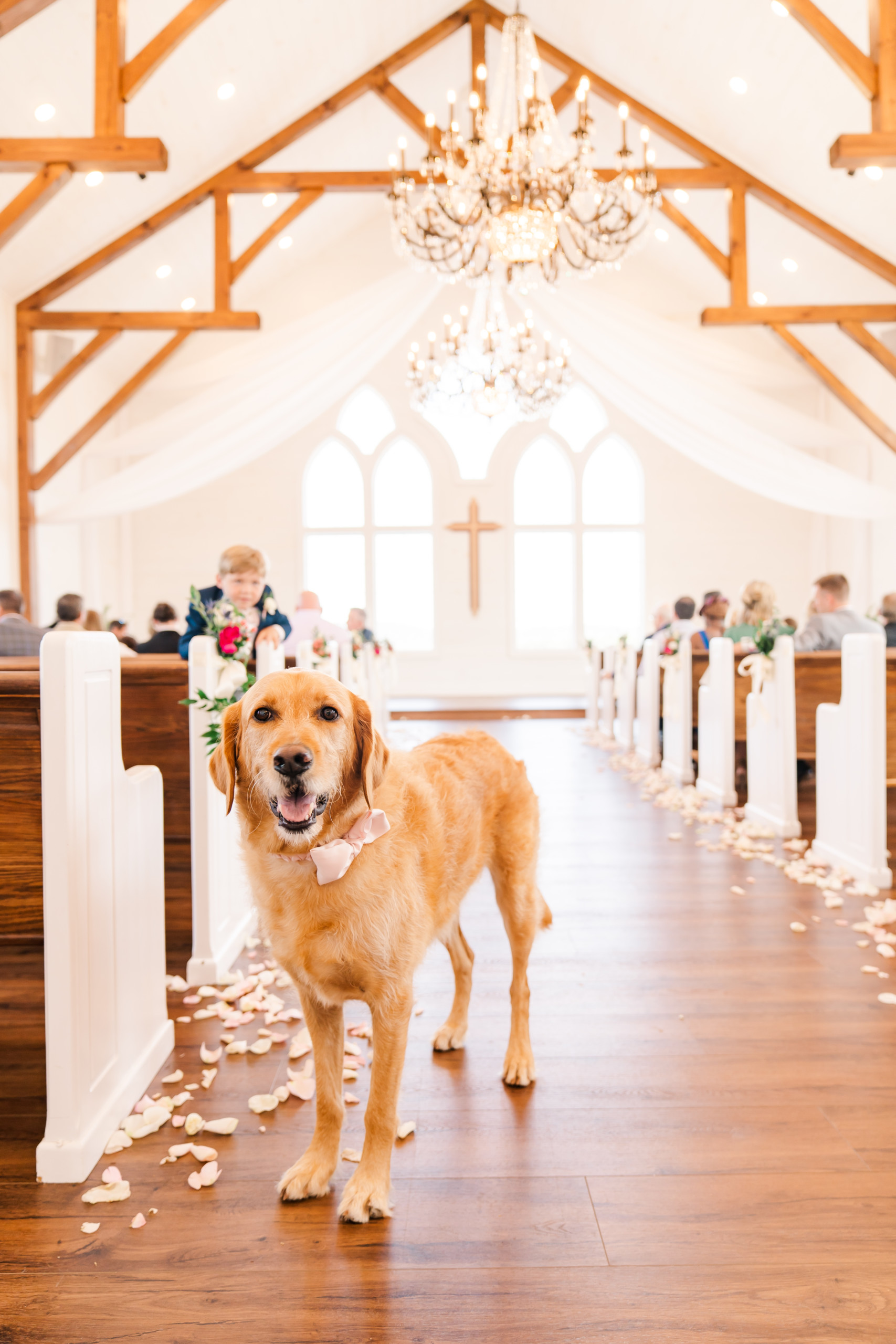 Wedding Day and Dog