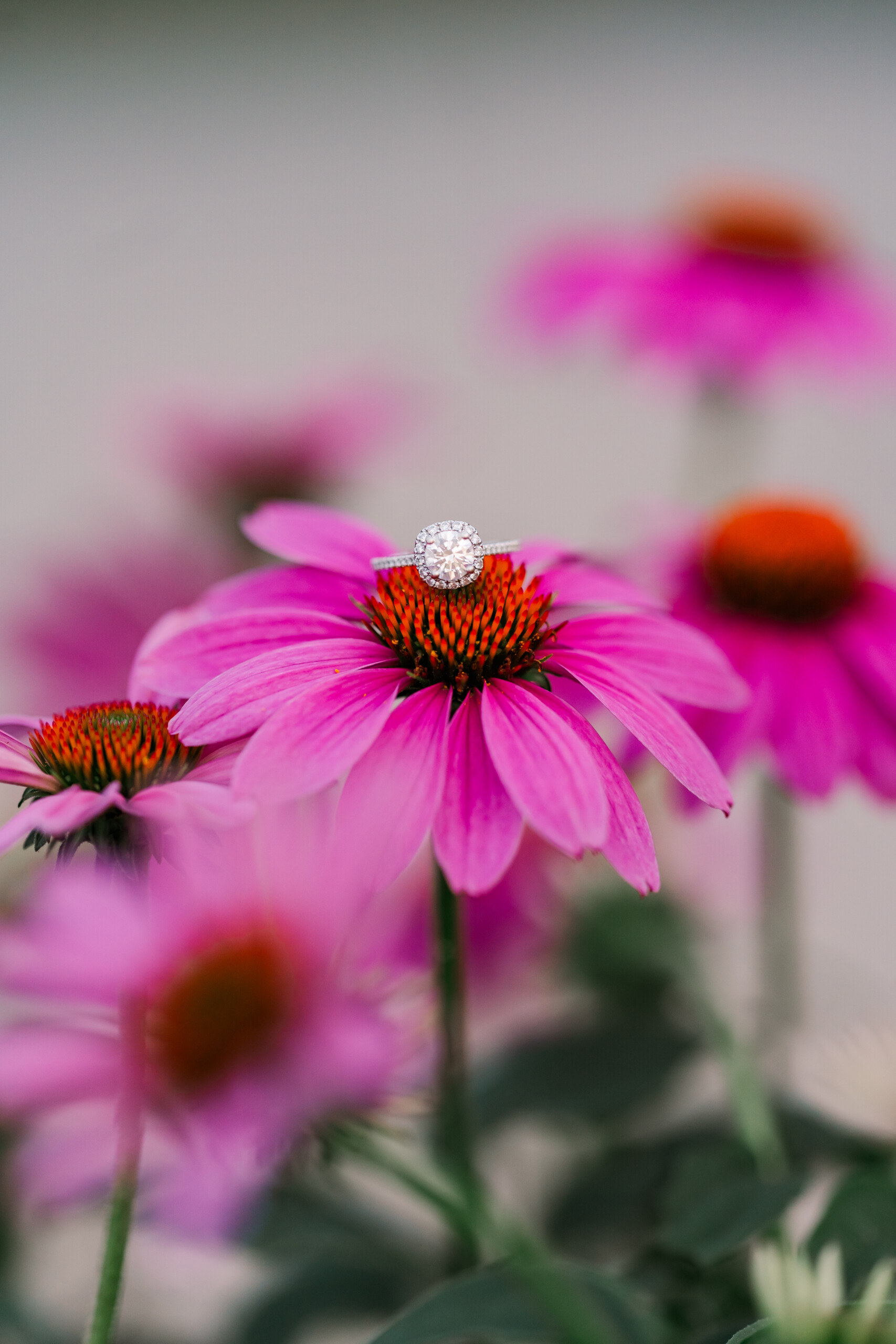 Coolidge Park Engagement 