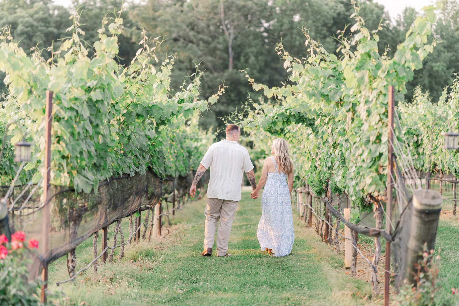 Montaluce Winery Engagement