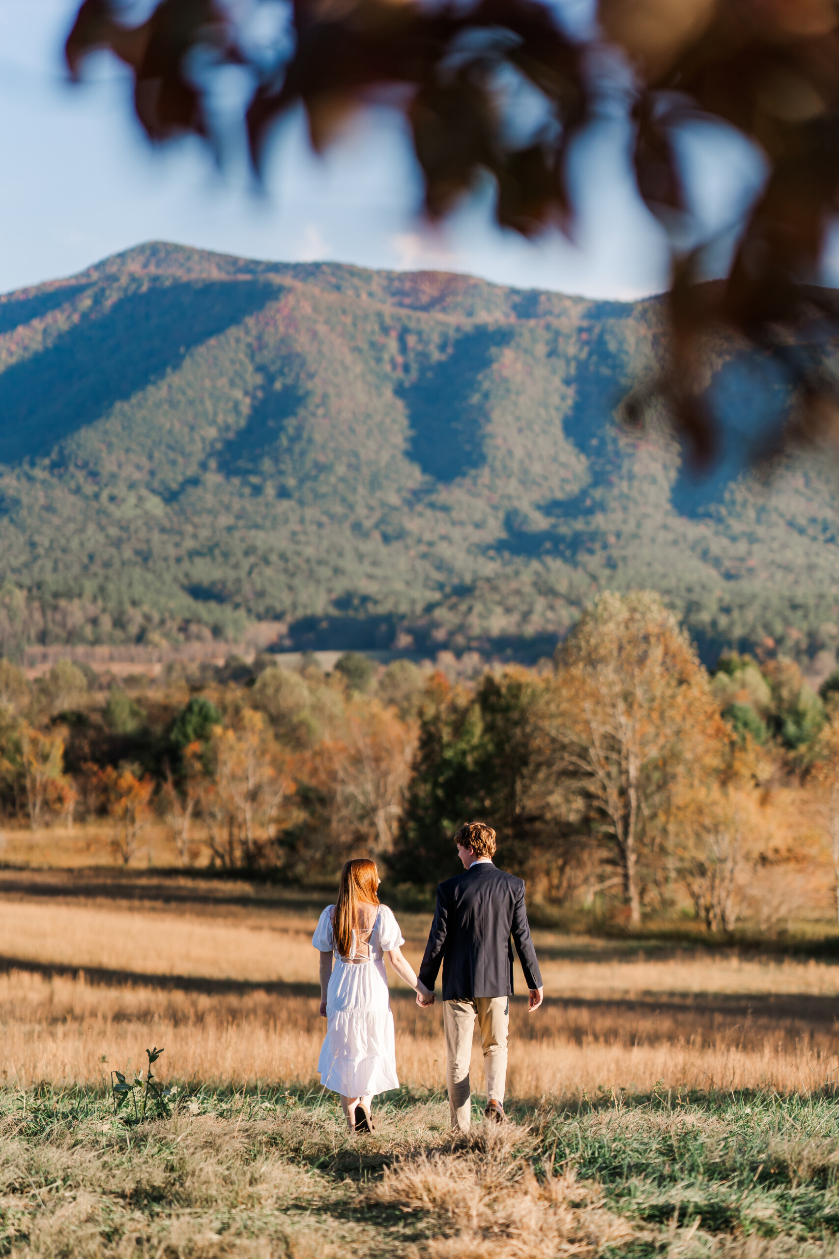 Cades Cove Engagement