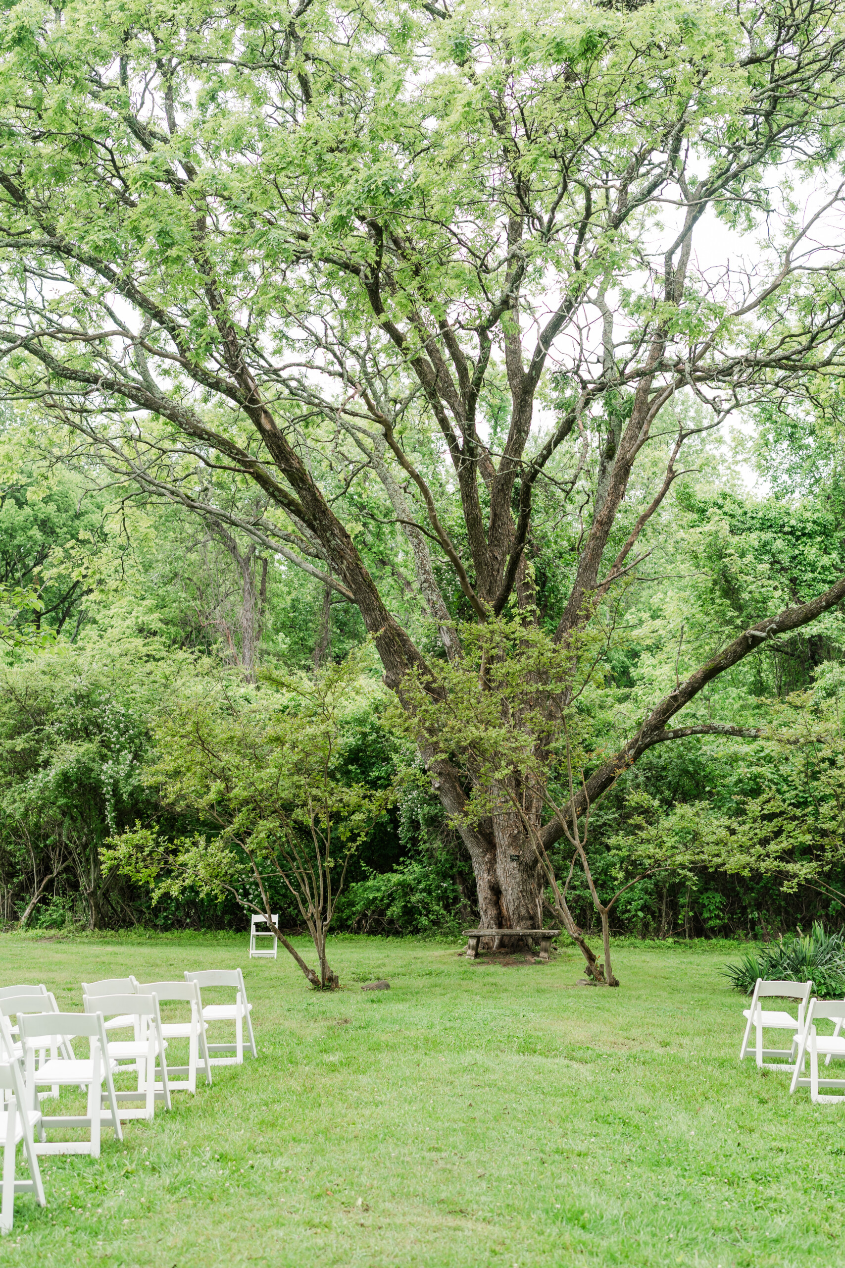 McCoy Farm & Gardens Wedding