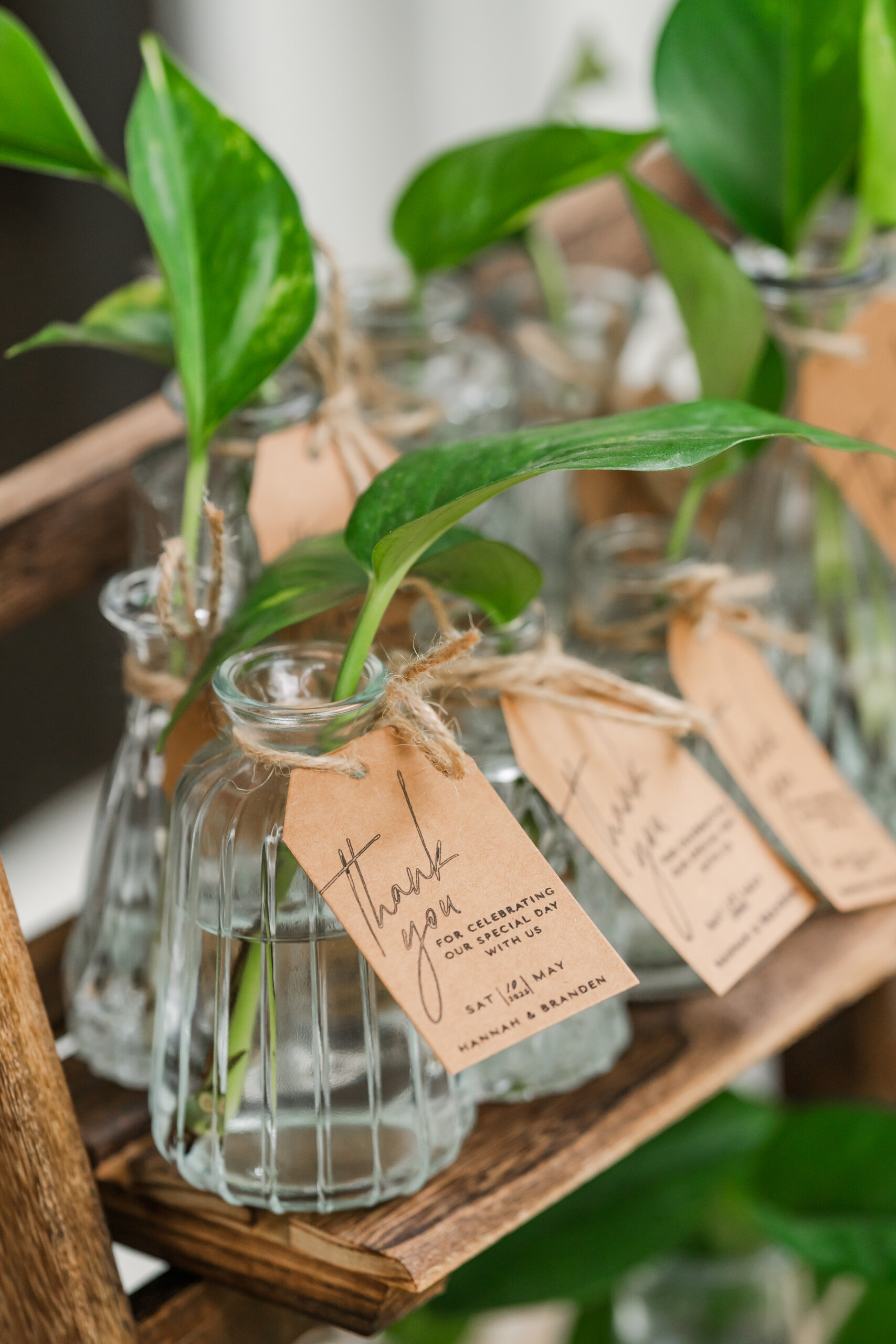 McCoy Farm & Gardens Wedding