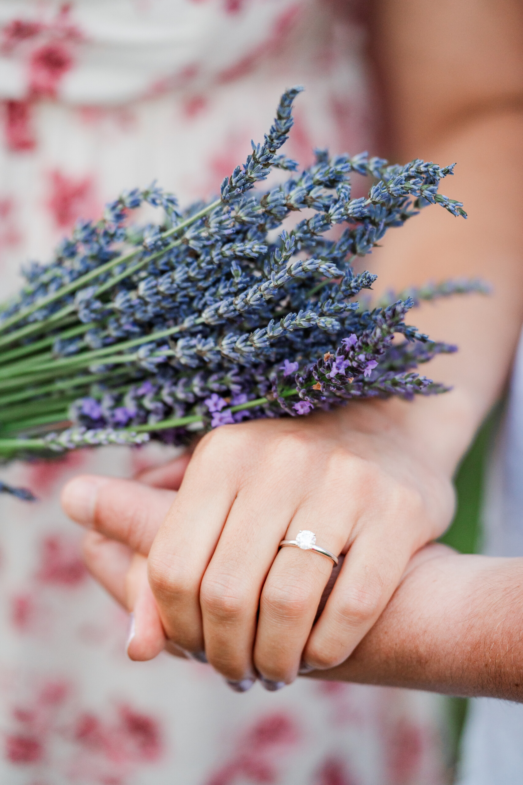 Lookout Lavender Engagement