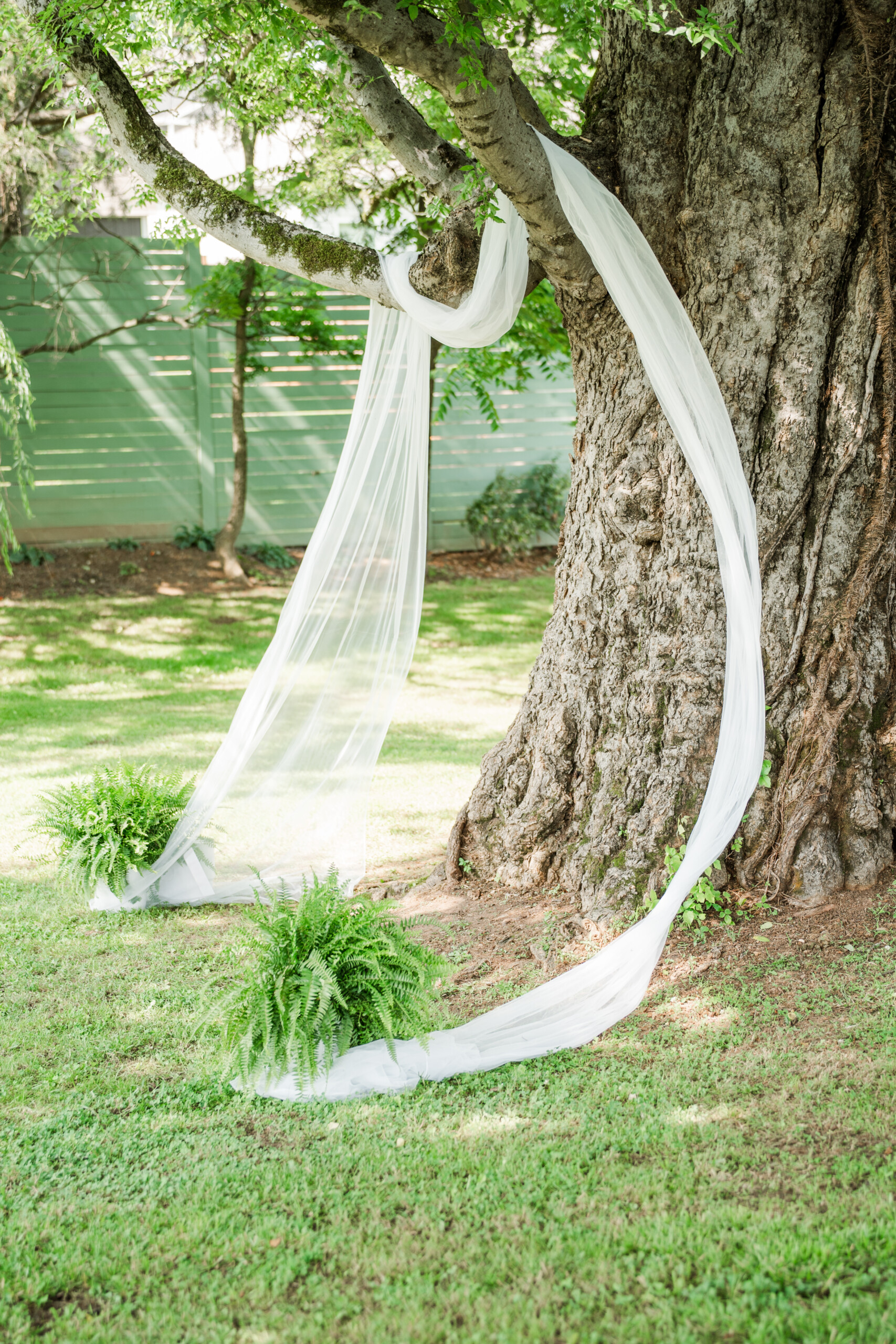 The Gray Dove Wedding