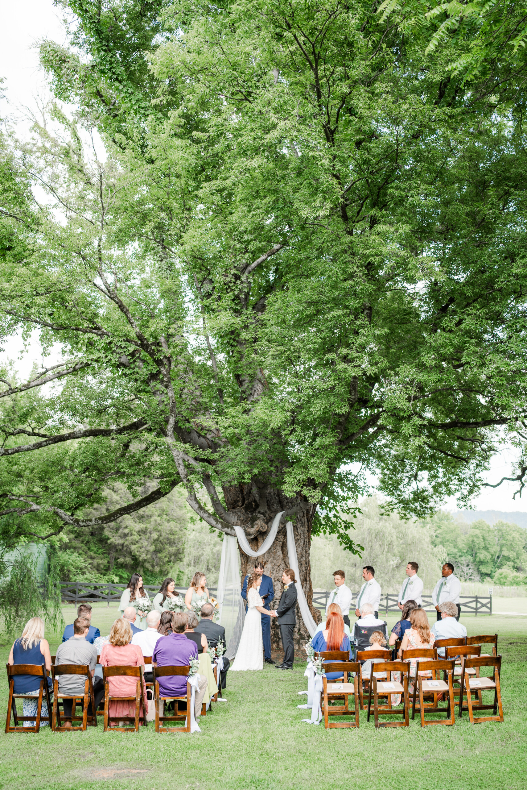 The Gray Dove Wedding